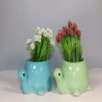 naturedge-tortoise-ceramics-pots