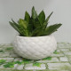 naturedge-round-diamond-pot